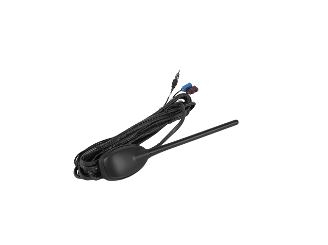 Whip Antenna