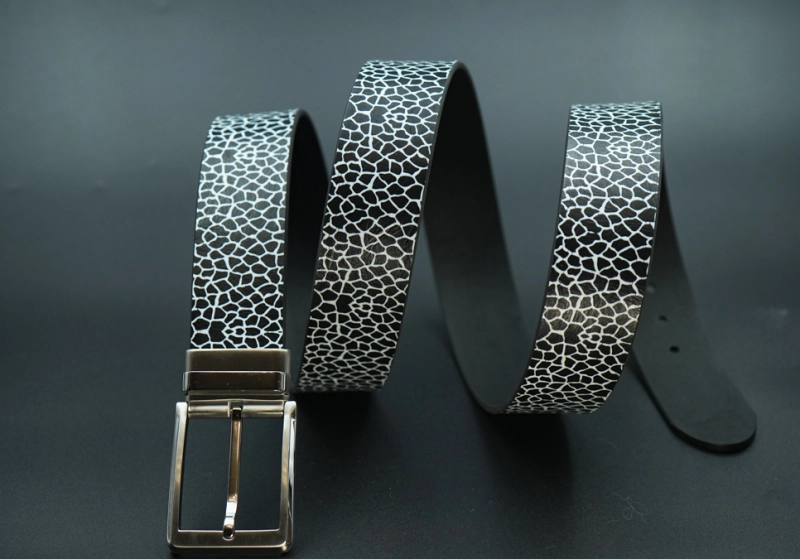 Pin buckle 01