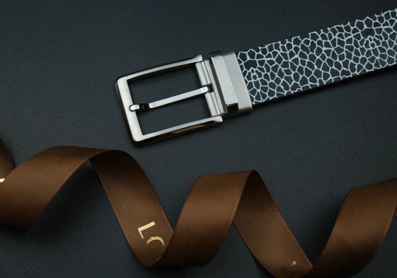 Pin buckle 01