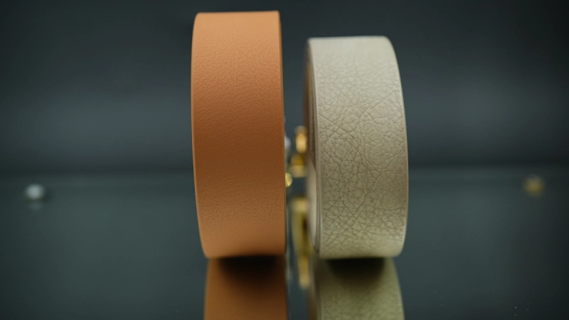 Pin buckle 01