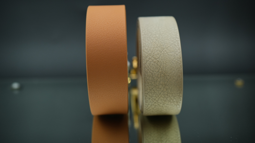 Pin buckle 01