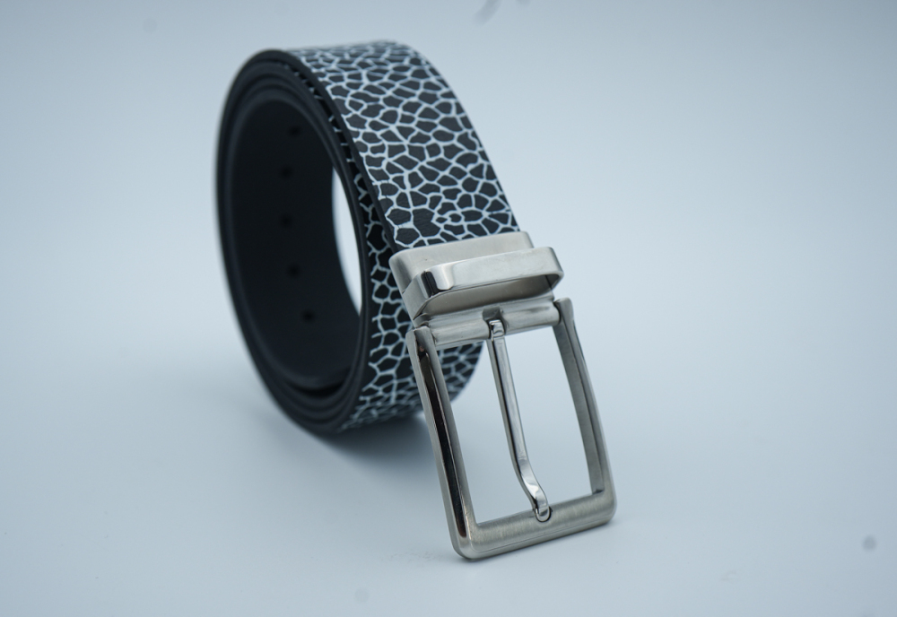 Pin buckle 01