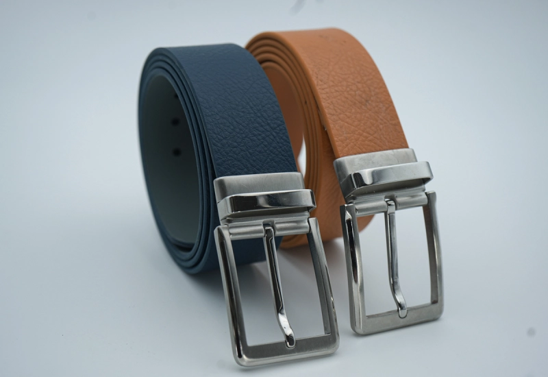 Pin buckle 01