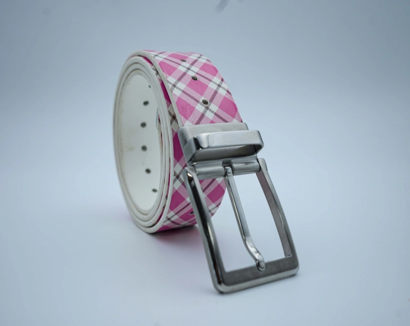 Pin buckle 05