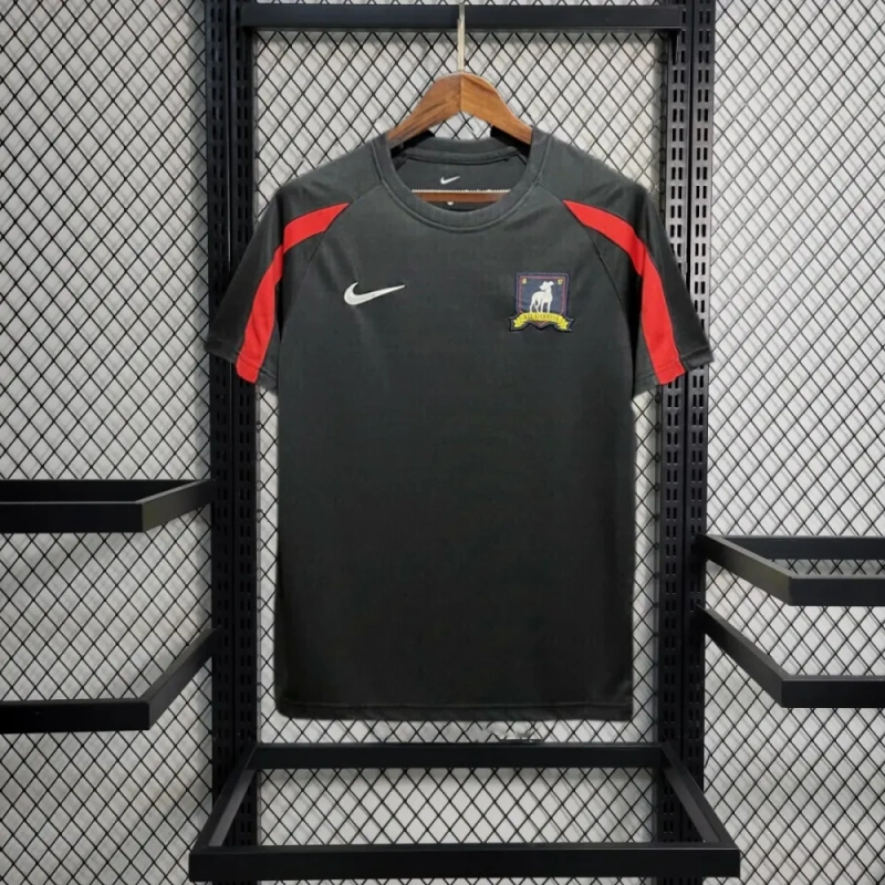 Camisa AFC Richmond Especial 2023 Versão Tailandesa