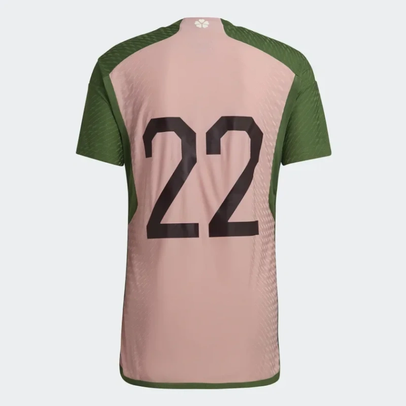 Thai Version Japan 2022 Special Jersey
