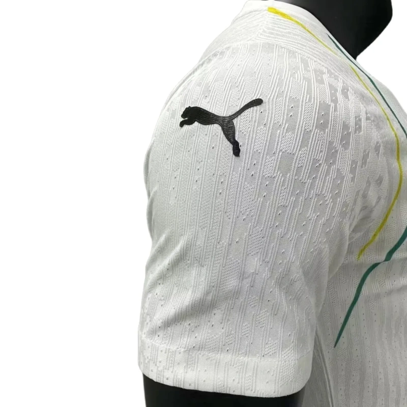 Camisa Guiné II 2024 Autêntica Versão Jogador