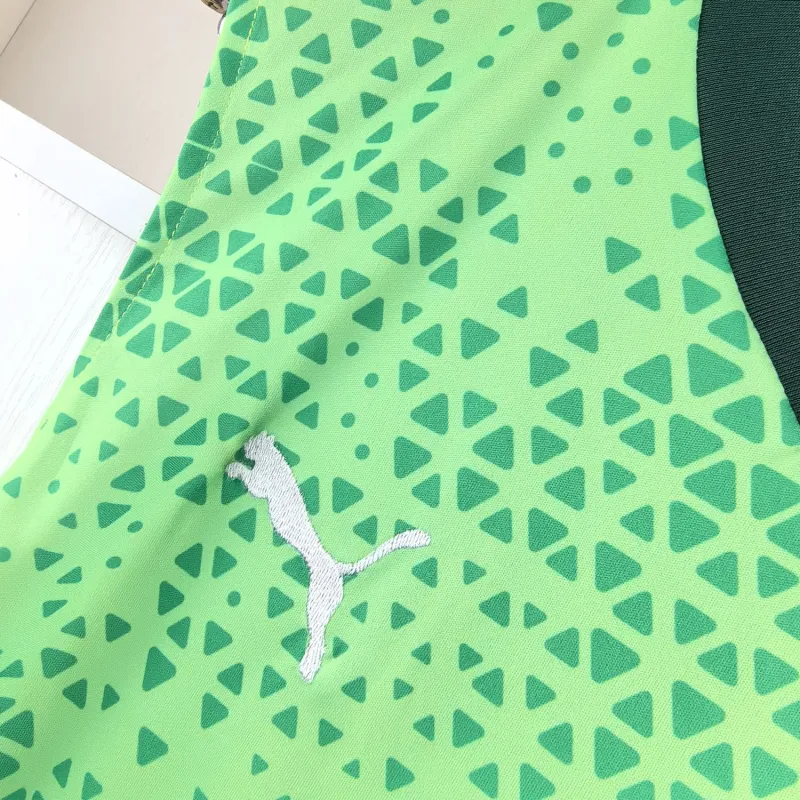 Camisa Palmeiras 2024/25