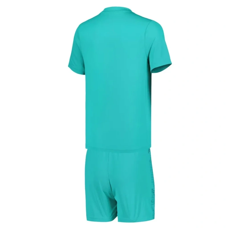 Camisa Everton Goleiro 2024/25