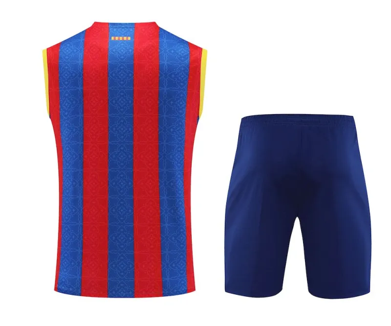 Camisa Barcelona 2023/24