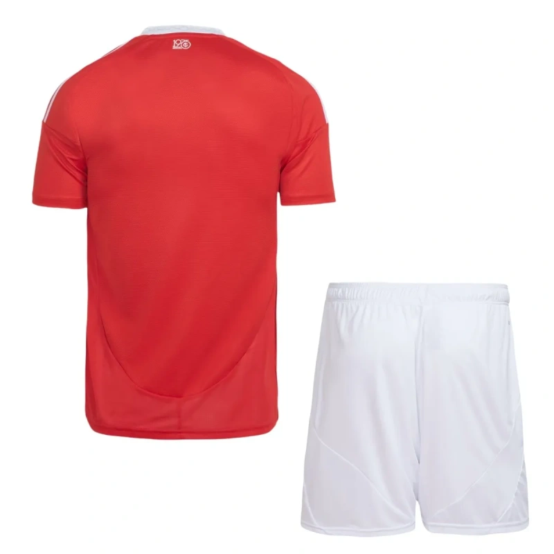 Camisa Internacional I 2025/26