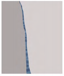 WP975