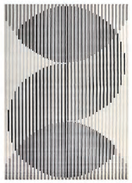 WP5202