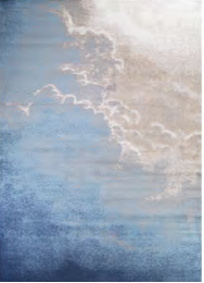 WP981