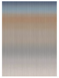 WP994