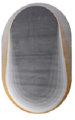WP6202