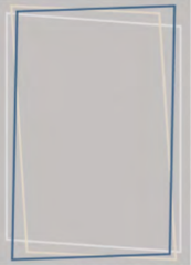WP3998