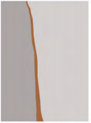 WP976