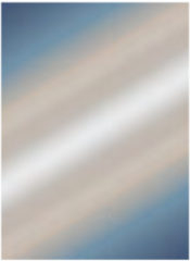 WP991