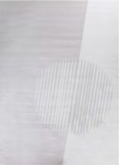 WP979