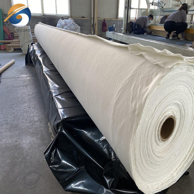 Woven Geotextile Composite Geomembrane for Driveway