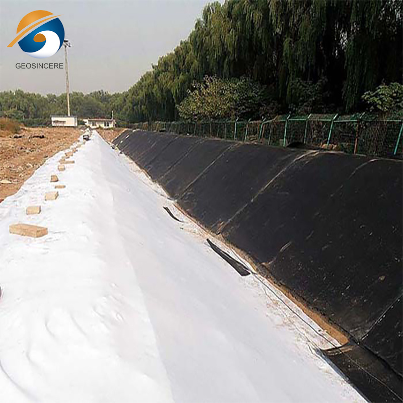 Woven Geotextile Composite Geomembrane for Driveway