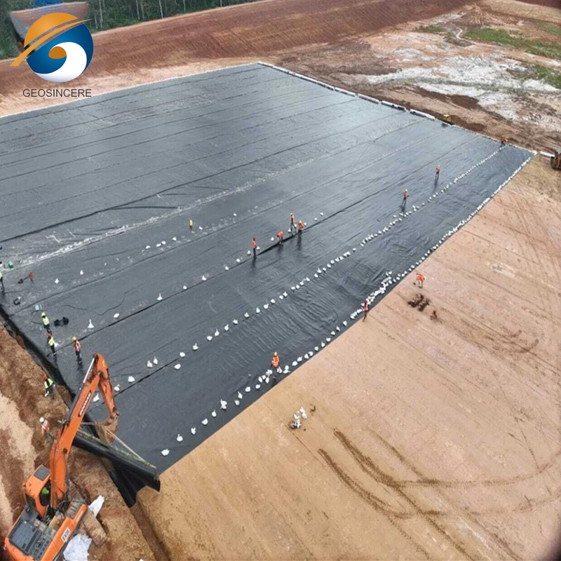 Black 1mm Pond Liner HDPE Geomembrane Sheet