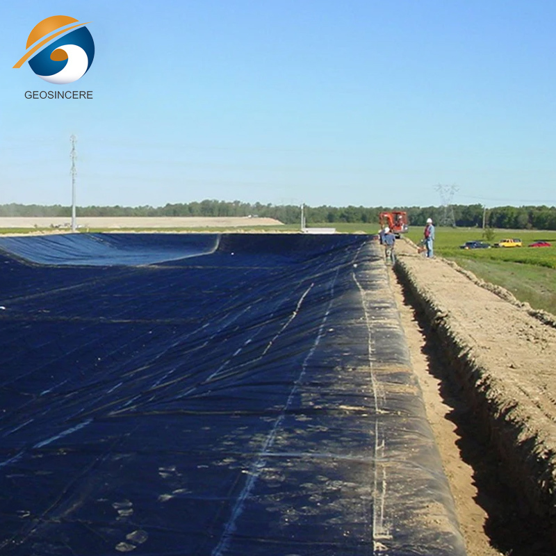 Agricultural Plastic Pond Liner HDPE Waterproofing Membrane