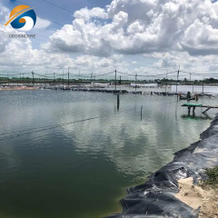 Fish Farming Tank 0.5mm Geomembrane Retention Pond Liner