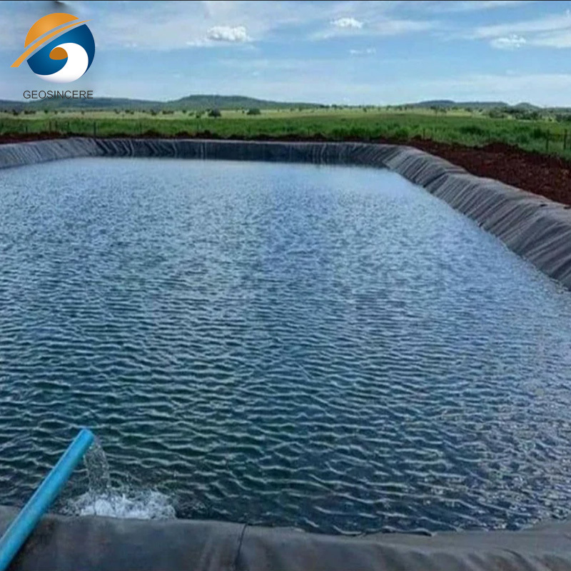 Agricultural Plastic Pond Liner HDPE Waterproofing Membrane