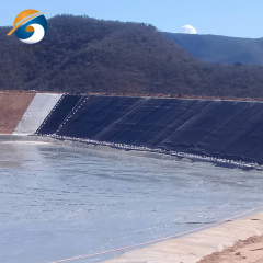 Geomembrane HDPE 2mm High Density Polyethylene Liner