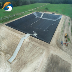 Water Storage Tank Pond Liner HDPE Geomembrane