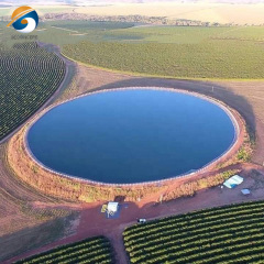 Blue Color HDPE Geomembrane Sheet for Artificial Lake
