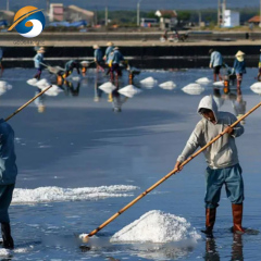 GM13 Standard PVC Plastic Sheet Geomembrane for Salt Production