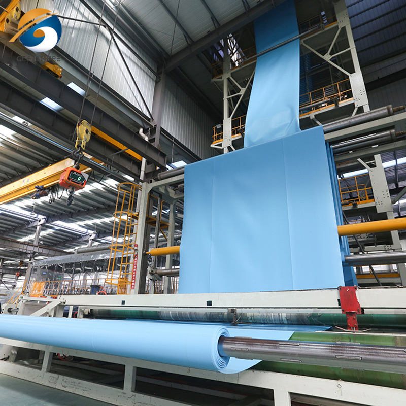 Blue Color HDPE Geomembrane Sheet for Artificial Lake