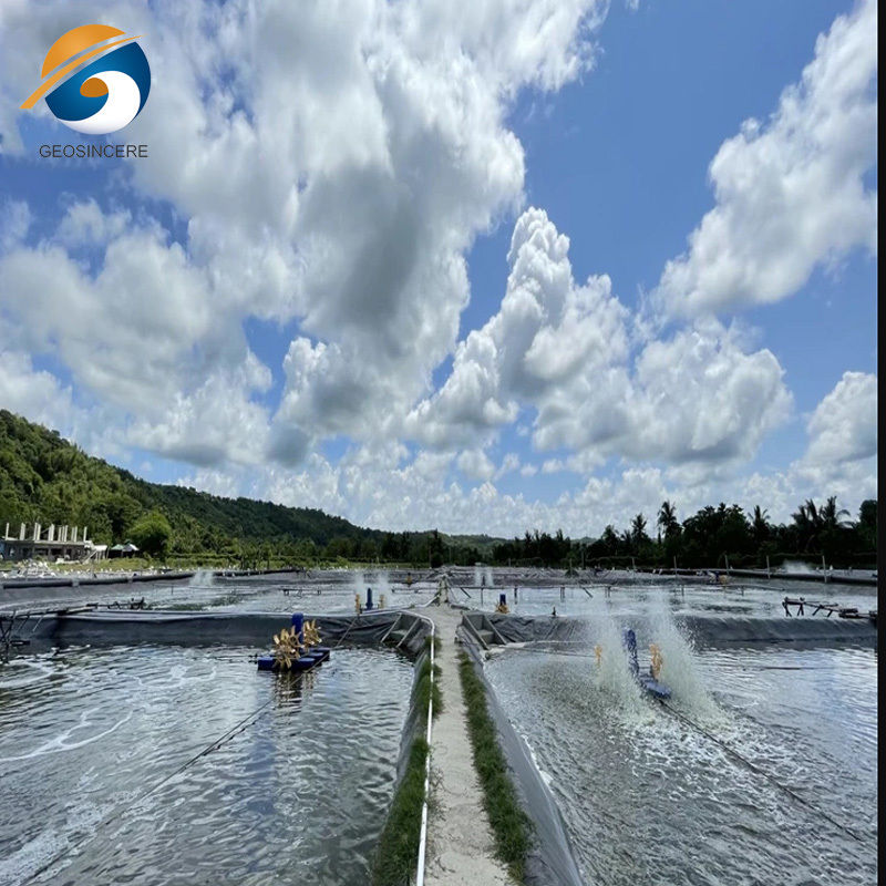 Large Plastic Pond Liner Fish Farm HDPE Geomembrane