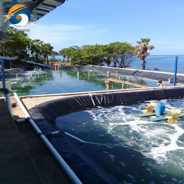Large Plastic Pond Liner Fish Farm HDPE Geomembrane