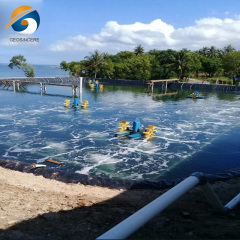 0.5mm 0.75mm HDPE Geomembrane Fish Farm UV Resist Pond Liner