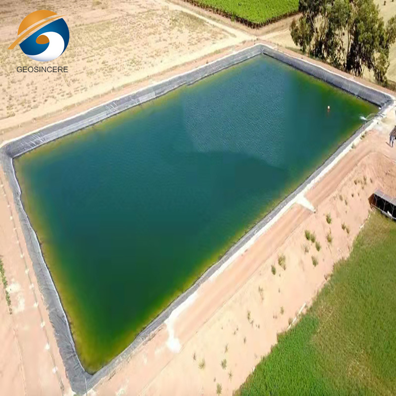 Irrigation Farm Pond Liner Waterproof Geomembrane