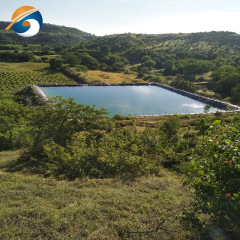 Irrigation Farm Pond Liner Waterproof Geomembrane