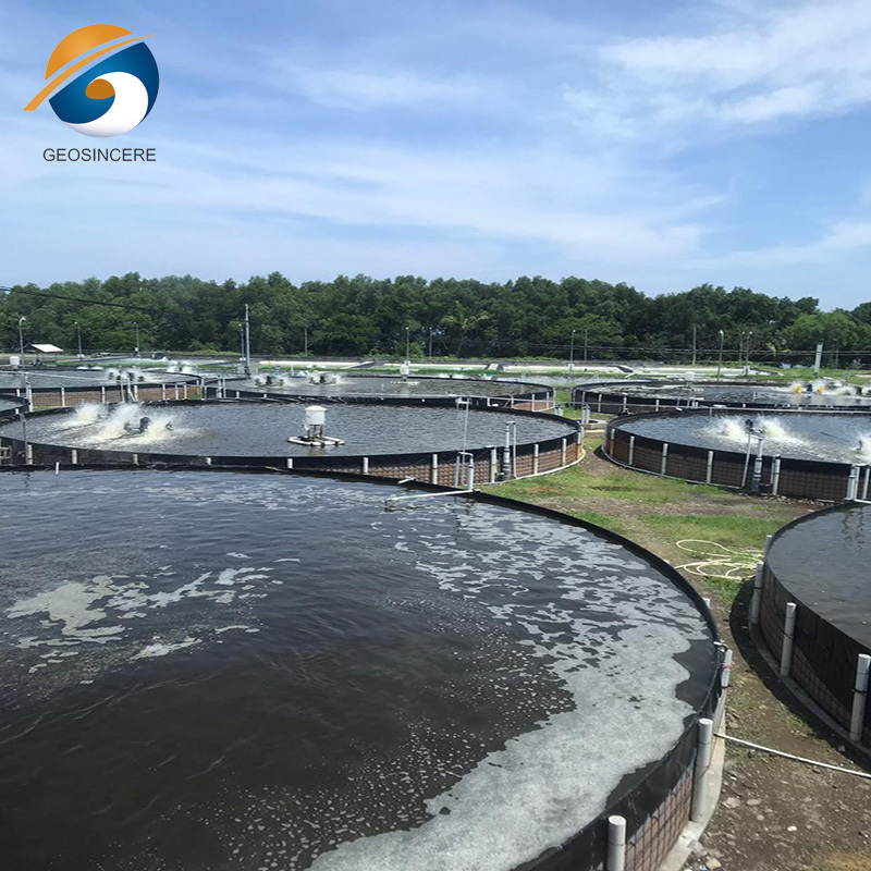 HDPE Textured Geomembrane Plastic Sheet Circular Tanks for Aquaculture