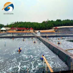 Shrimp Farm Geomembrane LDPE Pond Liner