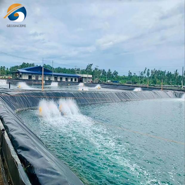 Shrimp Farm Geomembrane LDPE Pond Liner