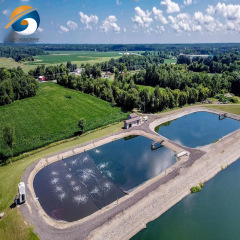 Shrimp Farm Geomembrane LDPE Pond Liner