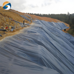 High Density Polyethylene Geomembrane