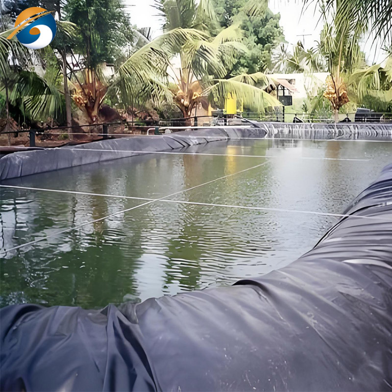 Geomembrana in HDPE