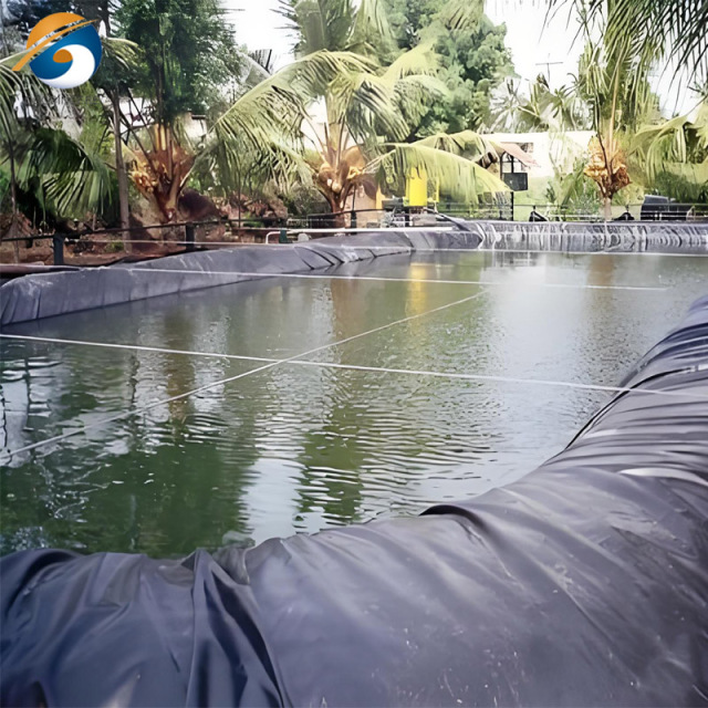 Geomembrana in HDPE