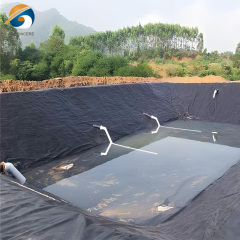 Geomembrana in HDPE