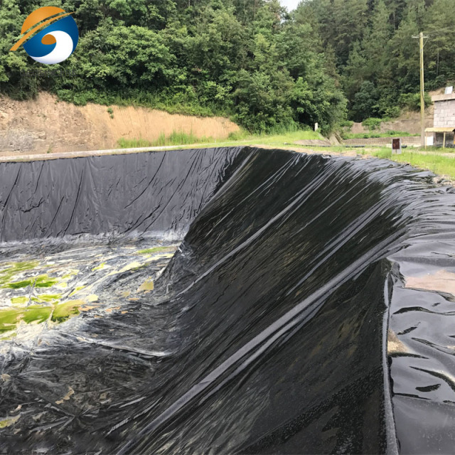 Geomembrane for Sale