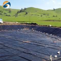 Geomembrane for Sale